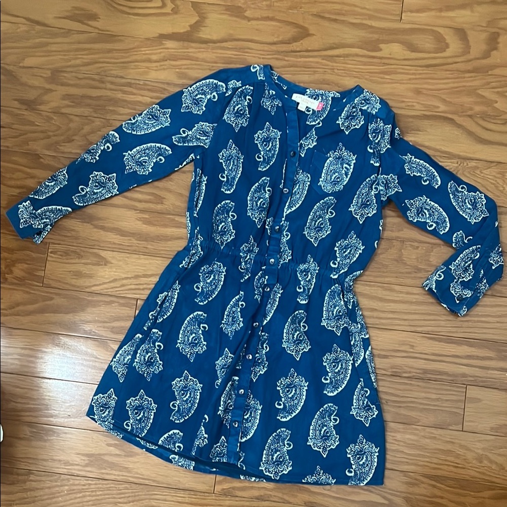 Pink Chicken White and Blue Casual Long Sleeve Dress